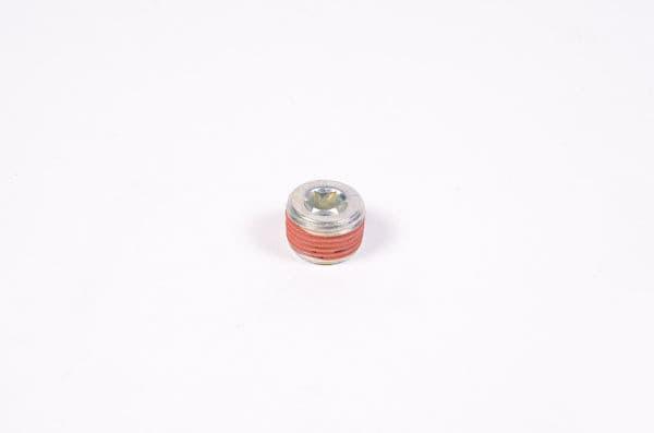 Radium 3/8Npt Plug – Radiumshop